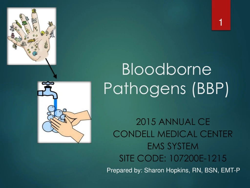 bloodborne pathogens bbp