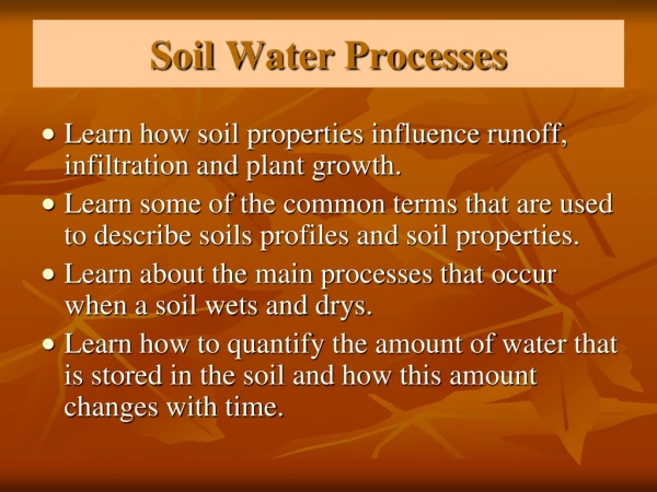 Soil Water Processes
