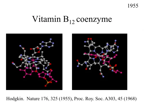 Vitamin B 12  coenzyme