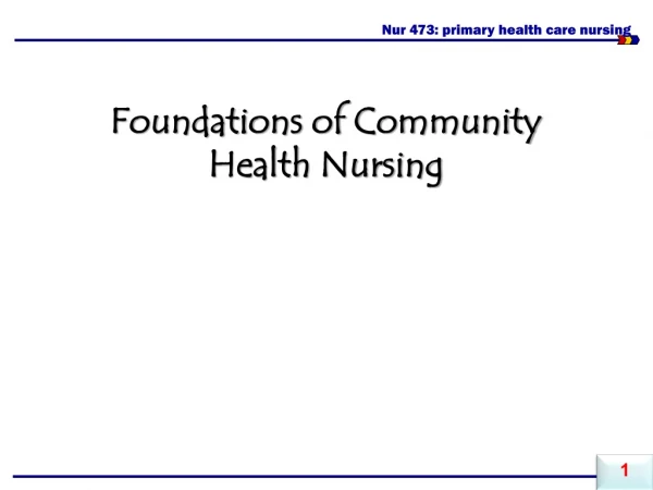 Nur 473: primary health care nursing