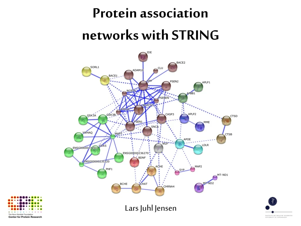 protein association networks with string