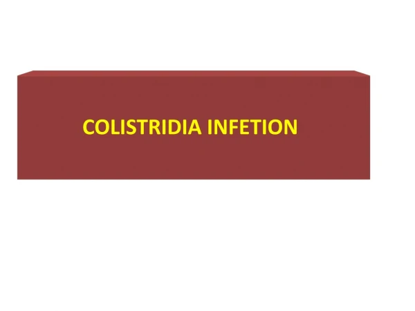 COLISTRIDIA INFETION