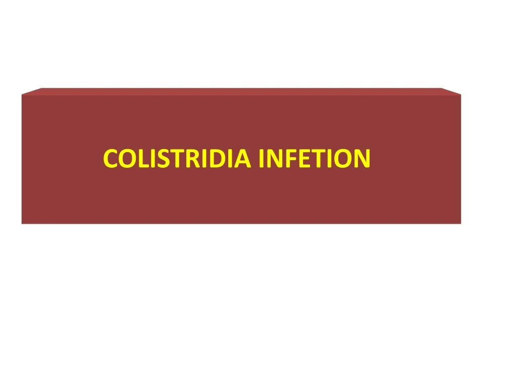 colistridia infetion