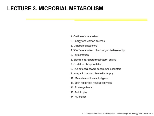 LECTURE 3. MICROBIAL METABOLISM