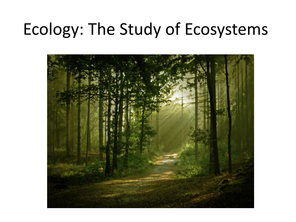 ecology the study of ecosystems