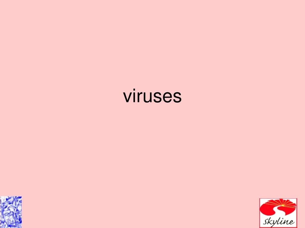 viruses