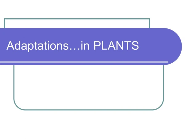Adaptations…in PLANTS