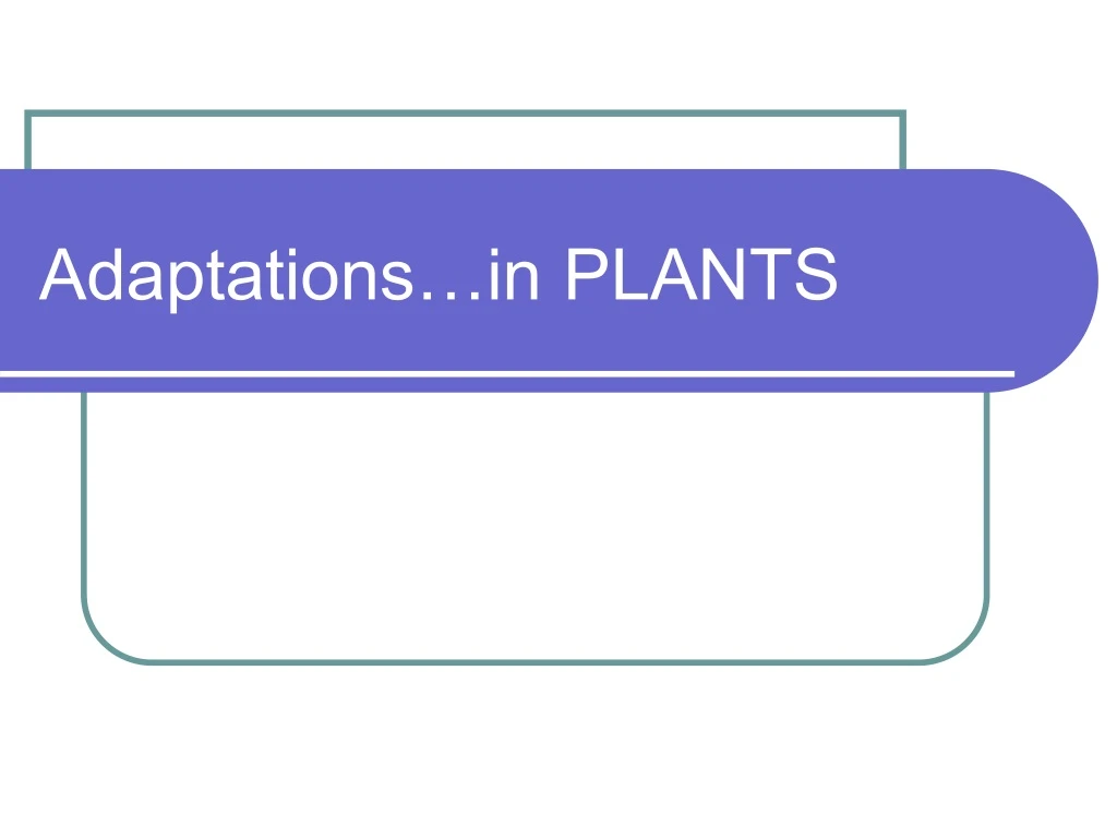 adaptations in plants