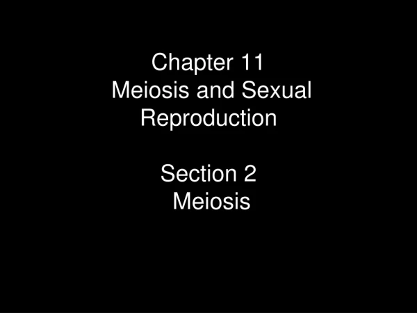 Chapter 11  Meiosis and Sexual Reproduction  Section 2  Meiosis