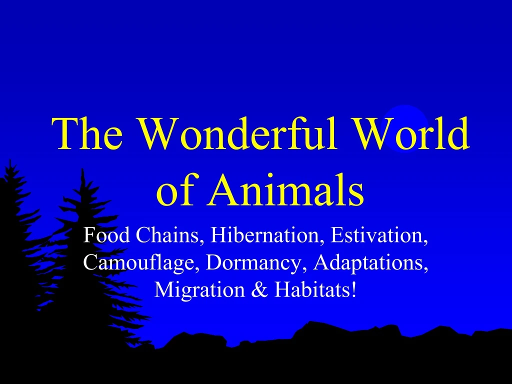 the wonderful world of animals