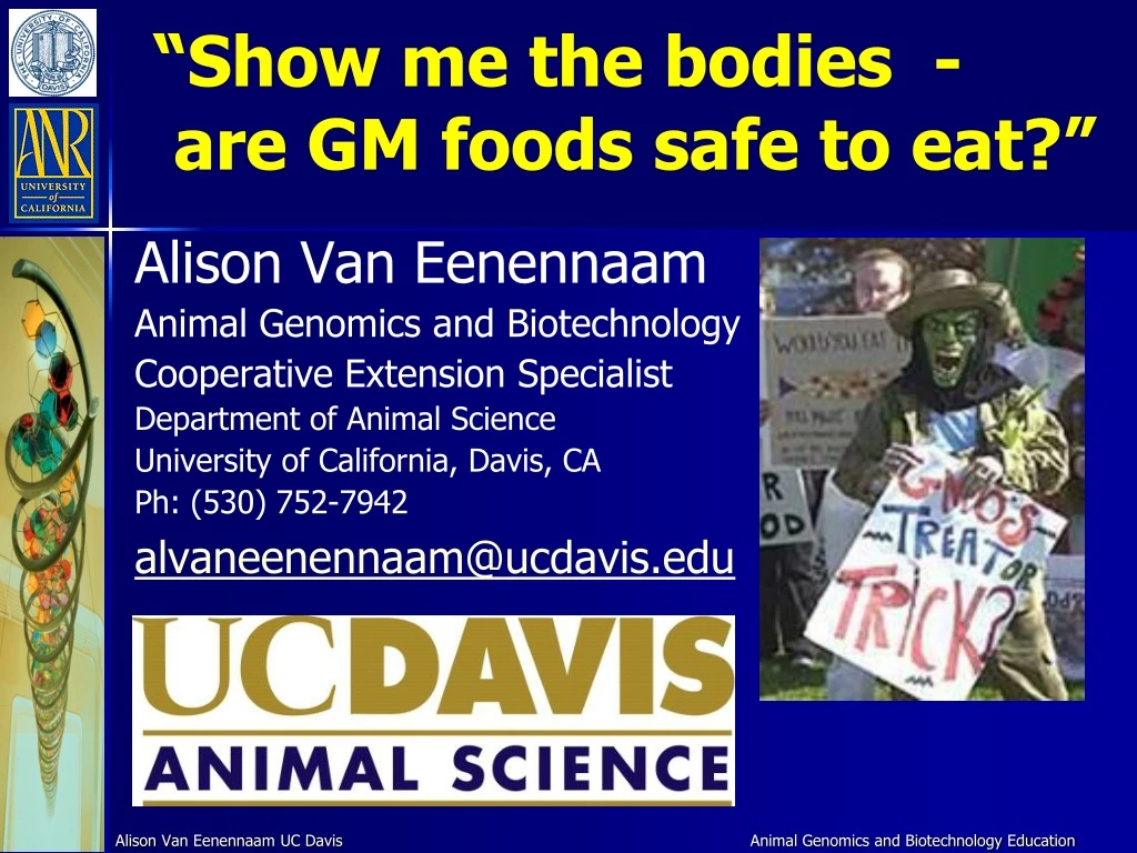 show me the bodies are gm foods safe to eat