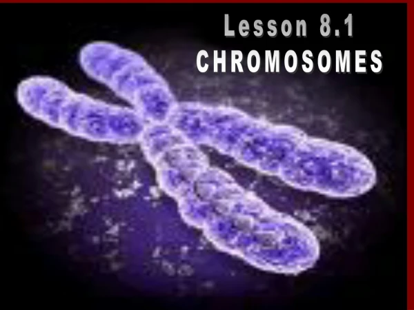 Lesson 8.1 CHROMOSOMES
