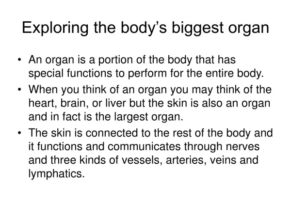 Exploring the body’s biggest organ