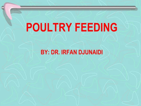 POULTRY FEEDING BY: DR. IRFAN DJUNAIDI