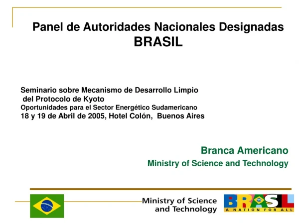 Panel de Autoridades Nacionales Designadas  BRASIL