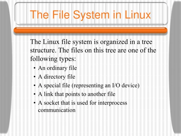 The File System in Linux