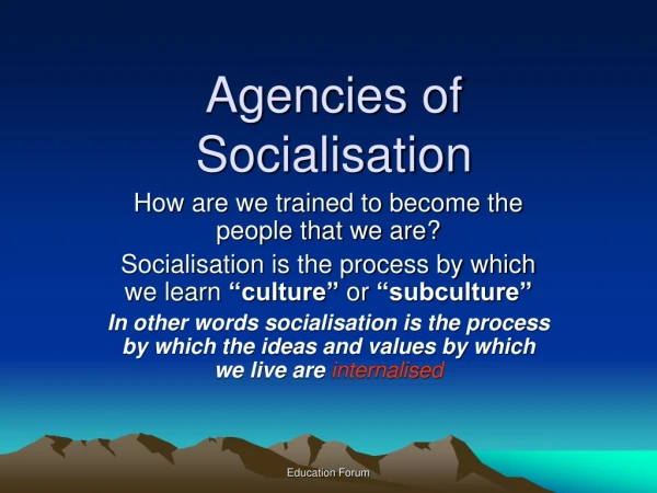 Agencies of Socialisation