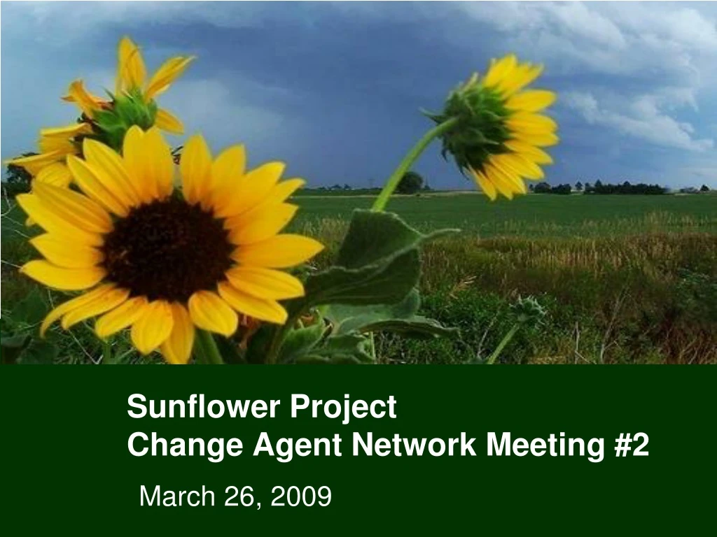 sunflower project change agent network meeting 2