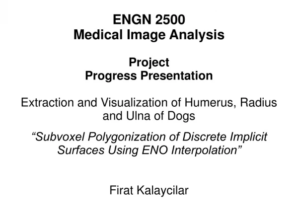ENGN 2500 Medical Image Analysis Project Progress Presentation