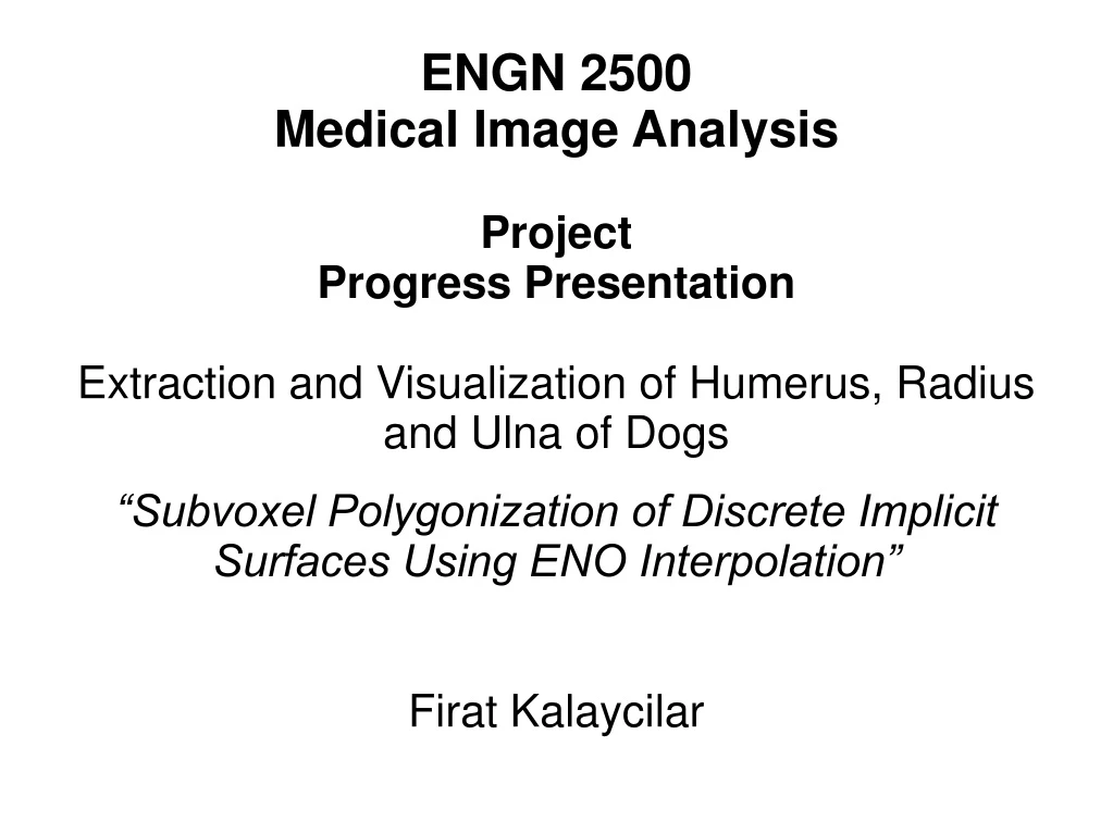 engn 2500 medical image analysis project progress