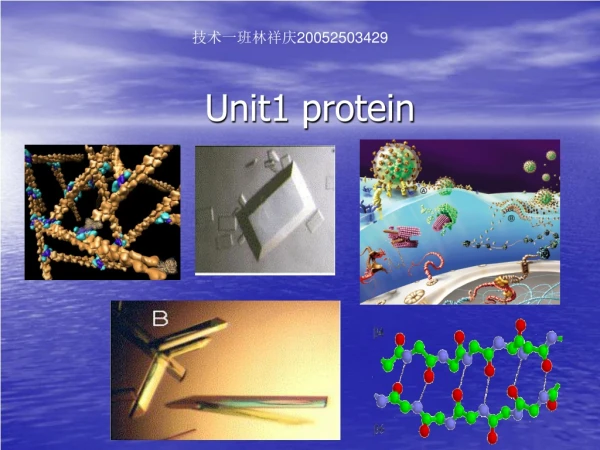 Unit1 protein