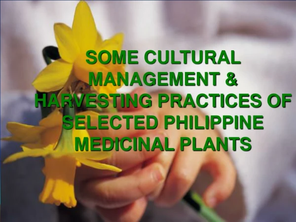 SOME CULTURAL MANAGEMENT &amp; HARVESTING PRACTICES OF SELECTED PHILIPPINE MEDICINAL PLANTS