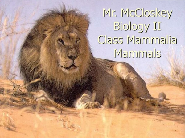 Mr. McCloskey Biology II Class Mammalia Mammals