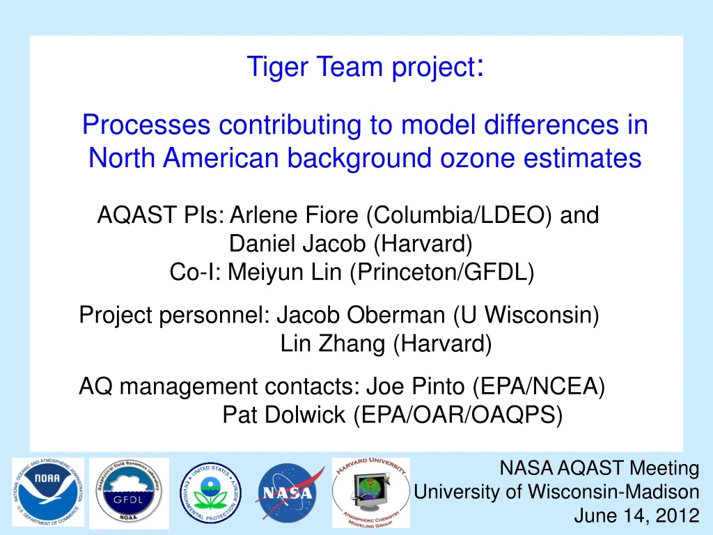 tiger team project processes contributing