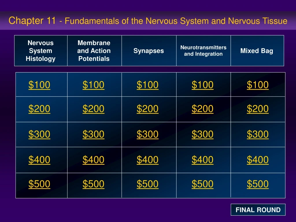 chapter 11 fundamentals of the nervous system and nervous tissue