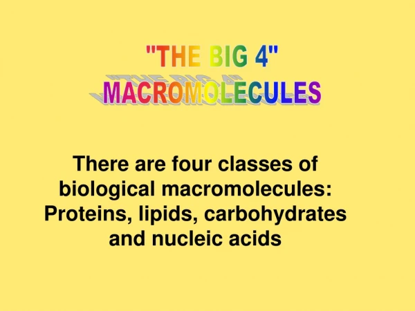 &quot;THE BIG 4&quot; MACROMOLECULES