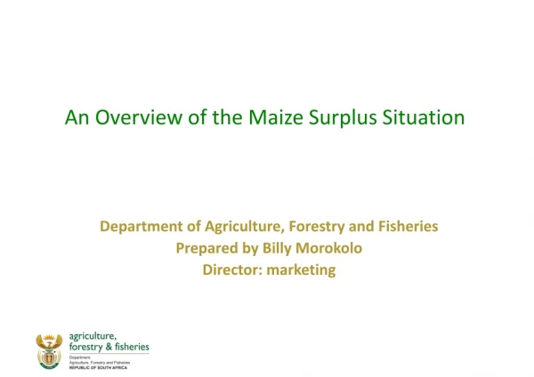 An Overview of the Maize Surplus Situation