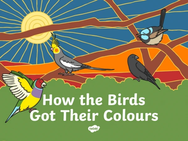 au h 6 aborginal dreamtime how the birds got their colours powerpoint