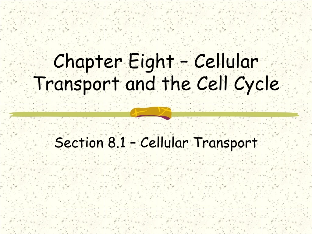 chapter eight cellular transport and the cell cycle