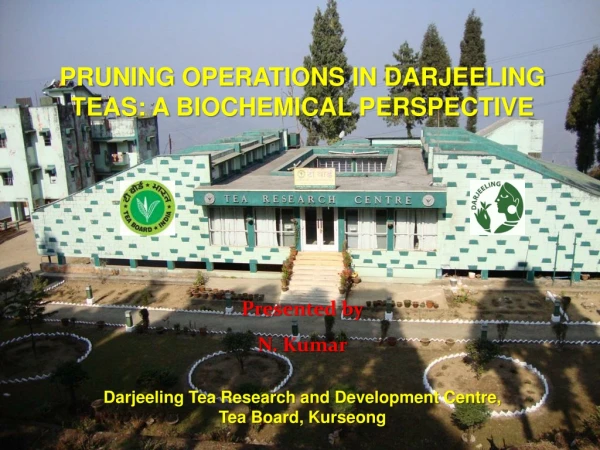 Darjeeling Tea Research and Development Centre,  Tea Board, Kurseong