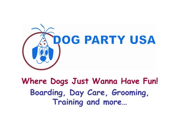 Where Dogs Just Wanna Have Fun! Boarding, Day Care, Grooming, Training and more…
