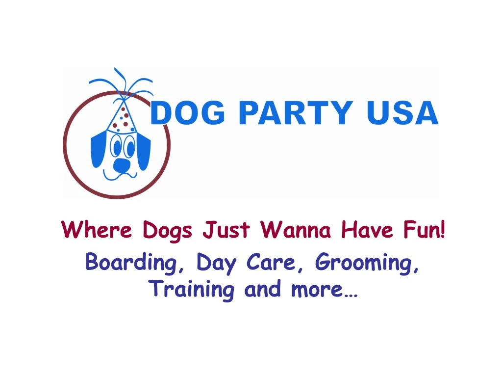 where dogs just wanna have fun boarding day care grooming training and more