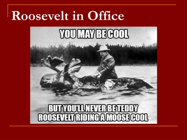 Roosevelt in Office