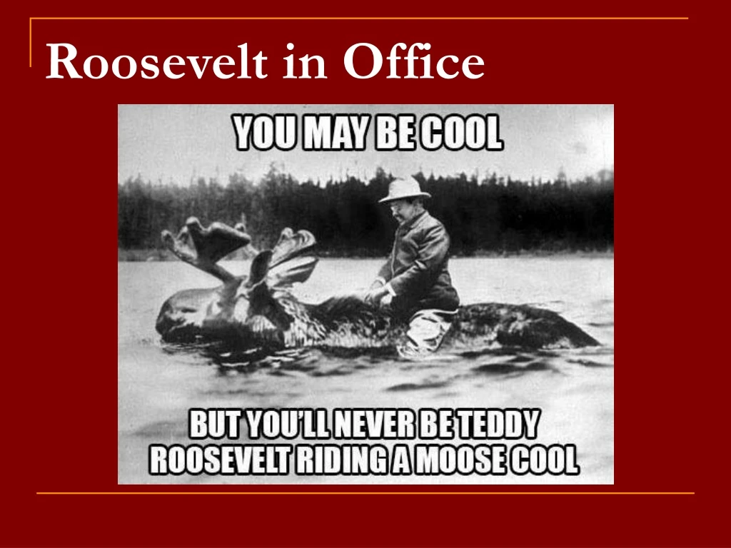 roosevelt in office