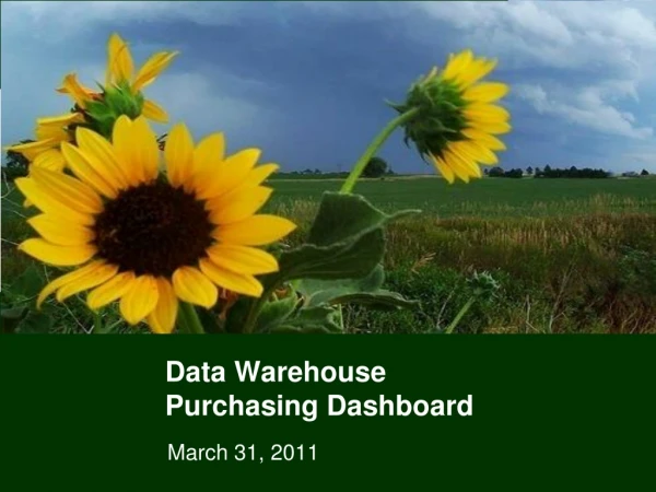 Data Warehouse  Purchasing Dashboard