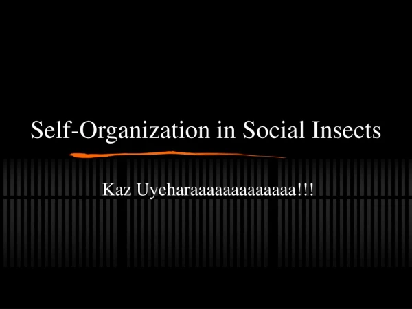 Self-Organization in Social Insects