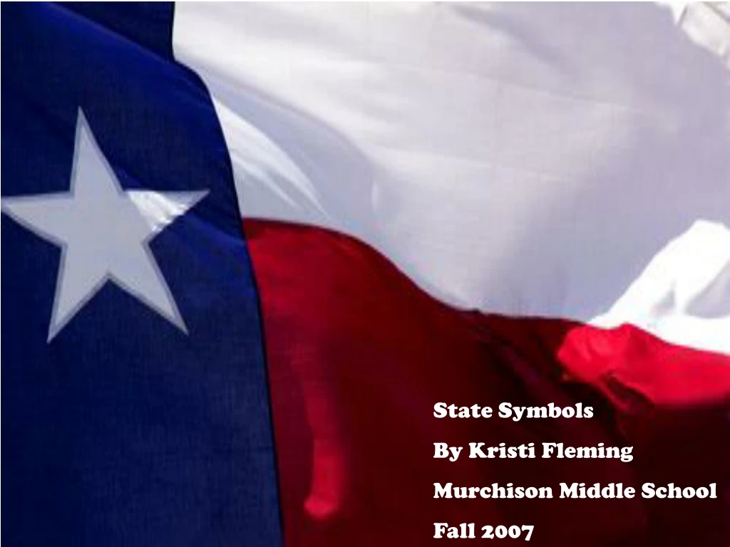 state symbols by kristi fleming murchison middle