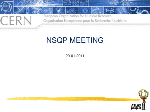 NSQP MEETING 20-01-2011