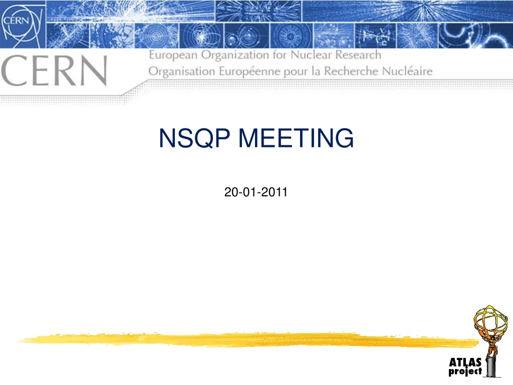 nsqp meeting 20 01 2011