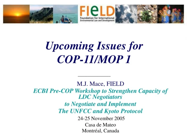 Upcoming Issues for  COP-11/MOP 1 ______________