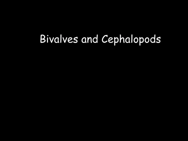 Bivalves and Cephalopods