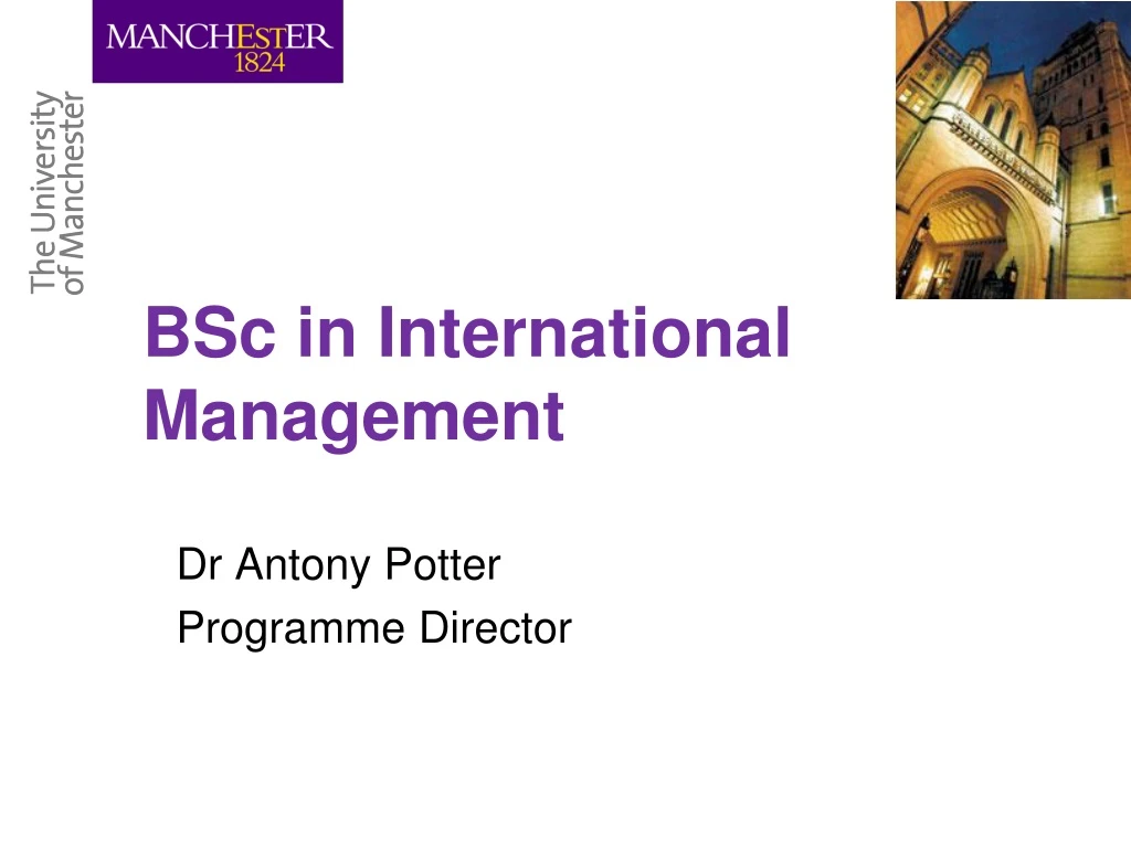 bsc in international management