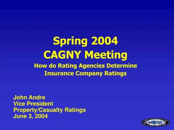 Spring 2004   CAGNY Meeting  How do Rating Agencies Determine   Insurance Company Ratings