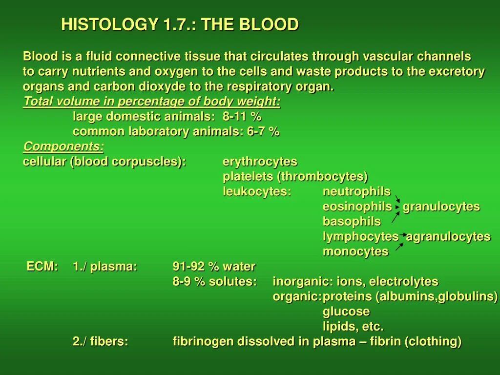histology 1 7 the blood