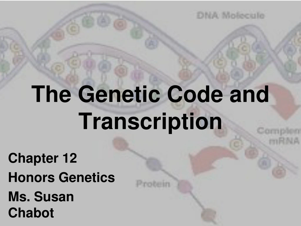 the genetic code and transcription