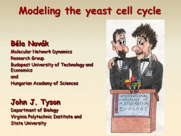 Béla Novák Molecular Network Dynamics Research Group